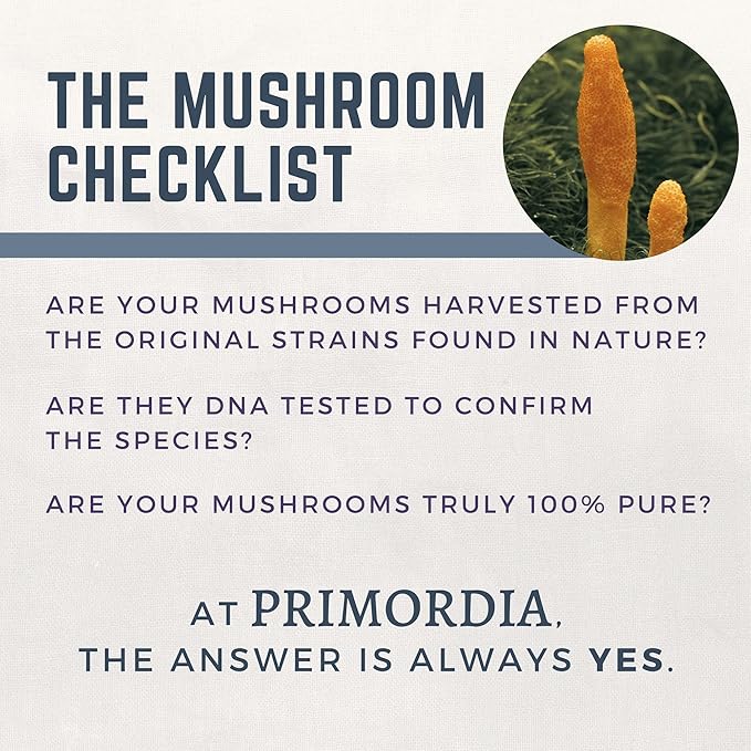 Primordia Pure Cordyceps Mushroom Supplement, 60 Capsules, Liquid State Fermentation, Cordyceps Sinensis Mushrooms, Immune Function Support, Boosts Energy & Endurance