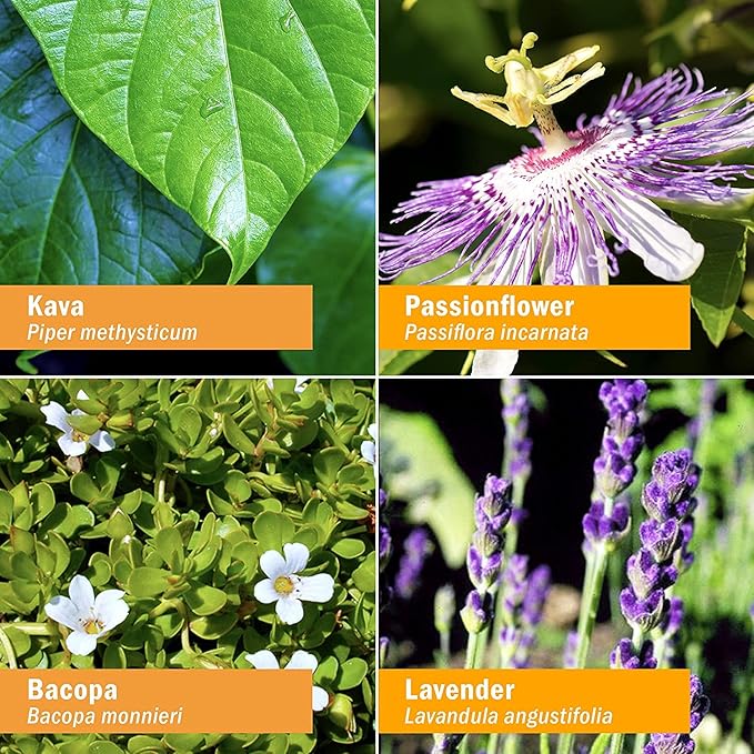 Herb Pharm Anxiety Soother Liquid Herbal Formula with Kava For Nervous System Support - 1 Ounce