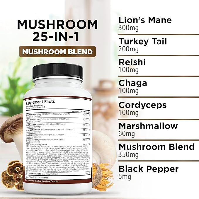 Lions Mane Mushroom Supplement with Turkey Tail Reishi Cordyceps Chaga with Marshmallow Root - 2-Pack