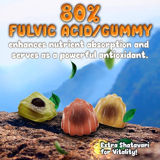 Pure Himalayan Shilajit Gummies - 100% Authentic Shilajit Reisin Extract for Men and Women with Ashwagandha and Shatavari - 60 Gummy - Apple & Kiwi and Peach & Mango Bundle