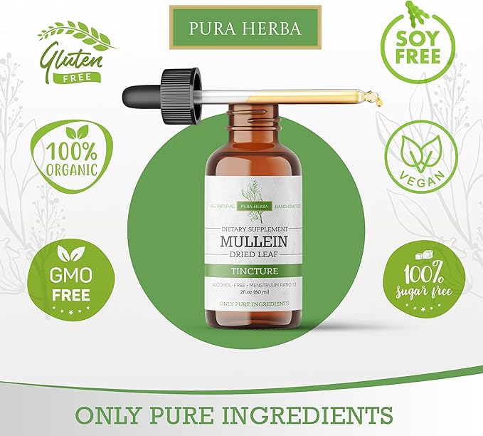 Mullein Tincture – Organic Mullein Drops for Lung Support & Respiratory Wellness – Made in The USA – 2 Fl Oz