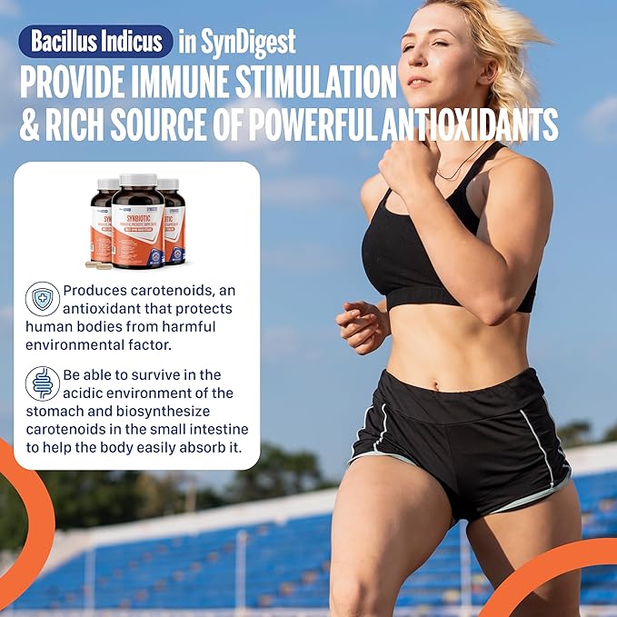 Syndigest probiotic daily care for women & men with dual benefit of 5 probiotic & prebiotic strains, balance gut health & relieves constipation, travel friendly, 60 capsules (2 billions CFU/serving)