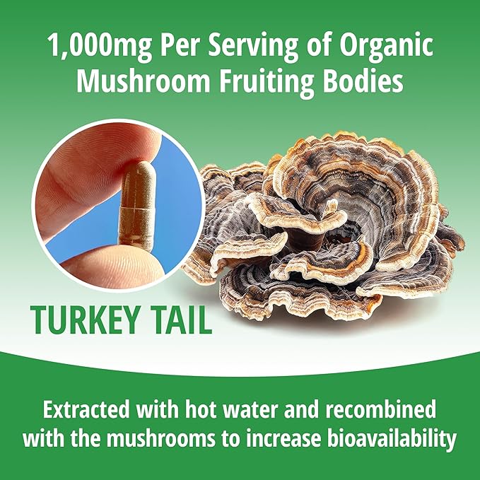 ENCAPSULATE Turkey Tail Capsules 1000mg – Premium Organic Fruiting Body 1:1 Extract – Adaptogen Mushroom Supplement for Digestive, Gut & Immune Support – Lab Tested & Max Bioavailability – 60 Count