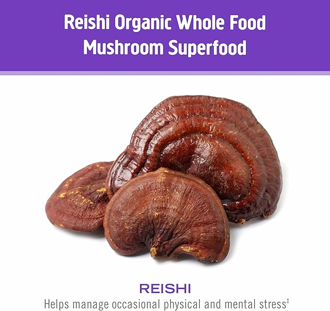 OM MUSHROOM SUPERFOOD Sleep Mushroom Capsules Superfood Supplement, 90 Count, 30 Days, Reishi, GABA, L-Theanine, Melatonin for Rest & Sleep Quality Superfood Supplement