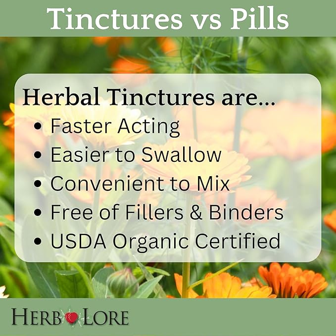 Herb Lore Organic Shatavari Root Extract Tincture - Liquid Shatavari Drops (Asparagus Racemosus) for Lactation and Wellness Support - Alcohol Free (4 fl oz)