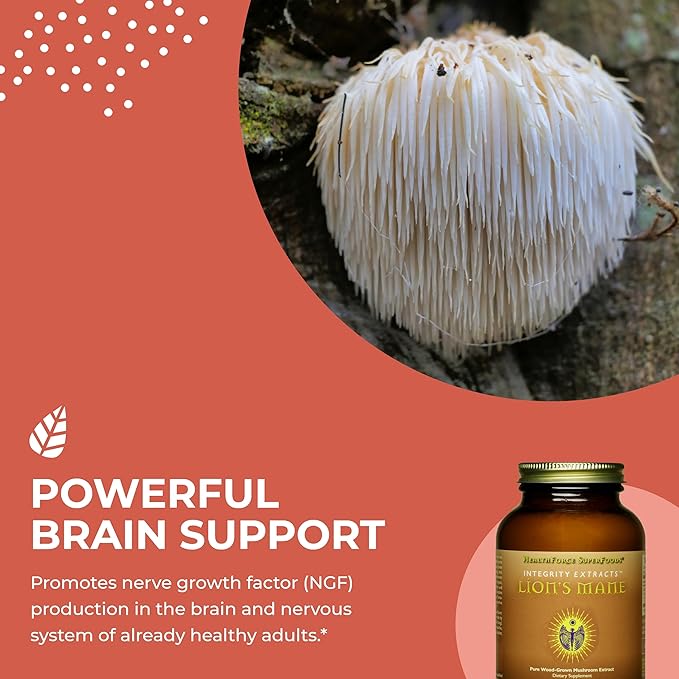 HealthForce SuperFoods Integrity Extracts Lion's Mane - Powder - 150 Grams