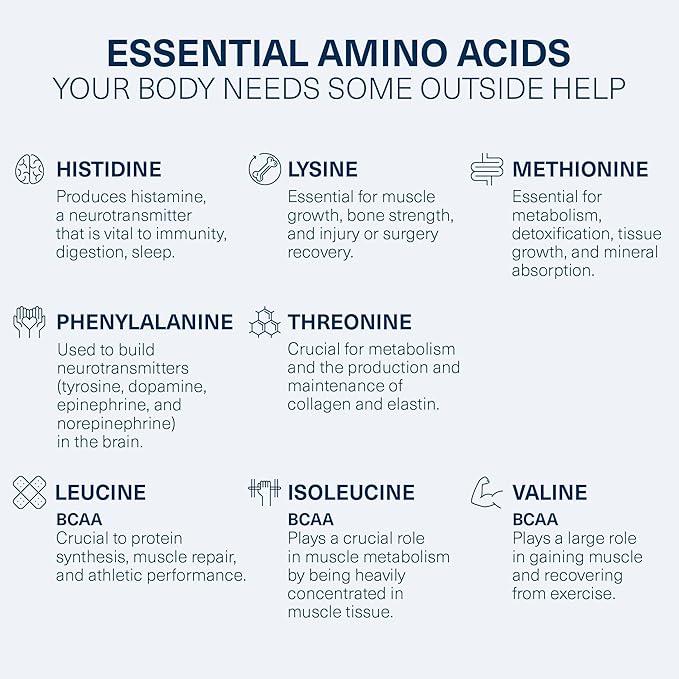 The Amino CO. - Perform Pre Workout Powder Supplement with Pure EAA Amino Acids & Natural Flavor, Stevia Sweetened Preworkout Energy Boost for Men & Women - Pink Lemonade (6.7 oz)