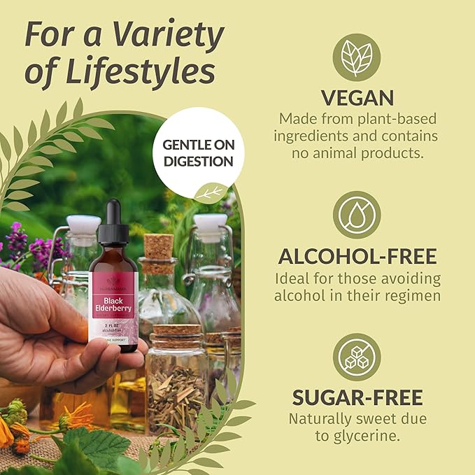 HERBAMAMA Black Elderberry Drops - Vegan Elderberry Liquid Extract for Immune Support - Non-GMO, Alcohol & Sugar-Free Immunity Supplement, 21-Day Supply