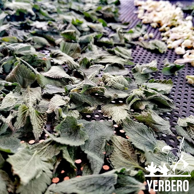 Yerbero - Stinging Nettle Leaf & Root Loose Tea 4oz (113 gr) | Urtica Dioica | Makes 30+ Cups | Wildcrafted, Stand Up Resealable Bag | Crafted By Nature100% All Natural, non-GMO, Gluten-free.