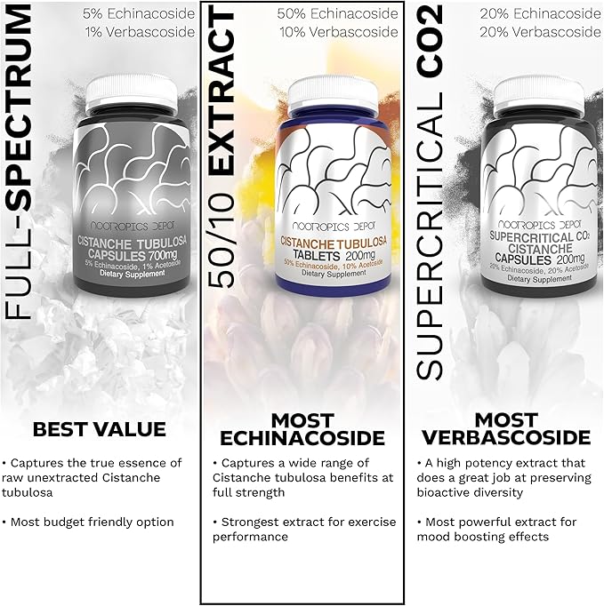 Nootropics Depot Cistanche tubulosa Tablets | 200mg | 180 Count | Minimum 50% Echinacoside + 10% Acetoside (Verbascoside) | Promotes Physical Strength and Energy | Promotes Vitality