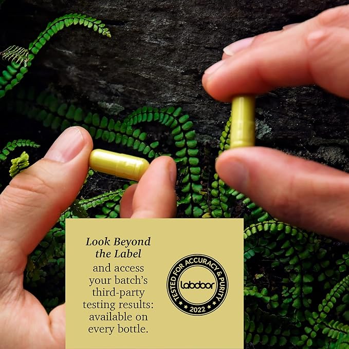 Quercetin with Bromelain - Bioactive Fava d'anta Derived Quercetin with 2400 GDU/g Bromelain 120 Capsules