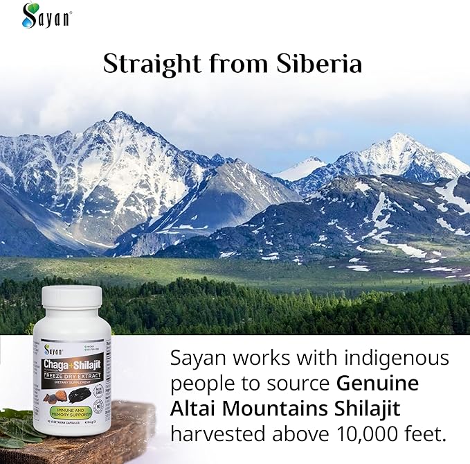 Sayan Siberian Chaga Mushroom Extract with Shilajit 90 Capsules/420mg ea.– Immune and Digestion System Support – Fulvic Acid Supplement – Energy & Clarity – Exclusive Blend – No Fillers