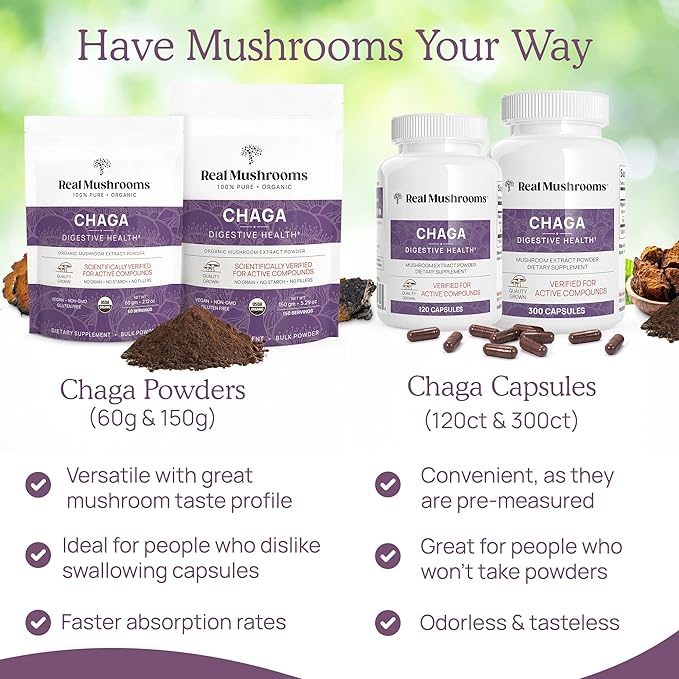 Real Mushrooms Chaga Powder - Organic Mushroom Supplement with Extract for Digestion, Energy, Immune Support Vegan Extract, Non-GMO, 150 Servings