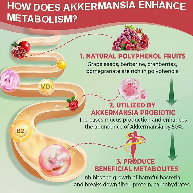 Bundle: Akkermansia Probiotics Gummies & Methylated B Complex Vitamin Gummies for Women