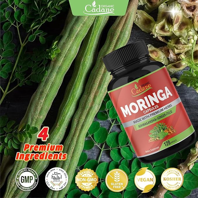 Organic Cadane Moringa Powder Capsules, 4in1 with Ashwagandha, Ginger, Holy Basil Tulsi - Immune Support - Oleifera Leaf Powder Herb Supplements, 120 Capsules