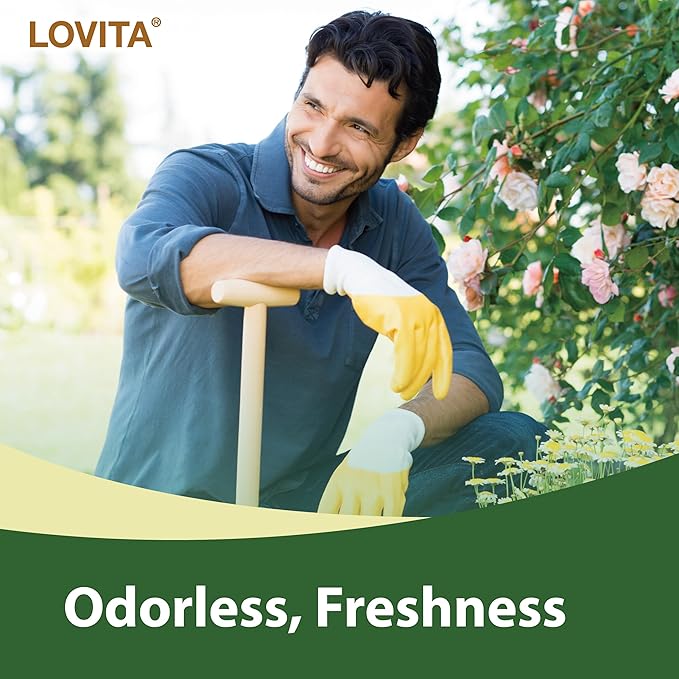 Lovita Odorless Garlic Extract, 50mg 100:1 Concentrate, High Potency, 1.25% Allicin, Gluten-Free, Supports Immune & Cardiovascular Health, 60 Vegan Capsules (Pack of 5)