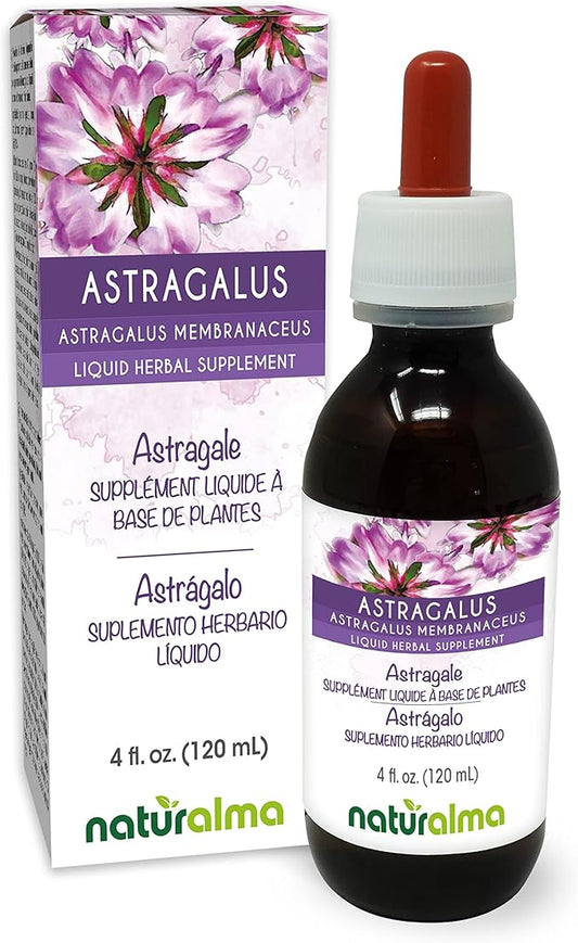 Naturalma Astragalus (Astragalus membranaceus) Root Alcohol-Free Tincture - 4 fl oz Liquid Extract in Drops - Herbal Supplement - Vegan