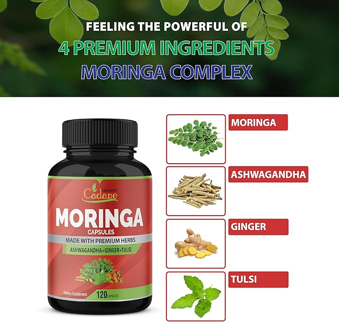 Organic Cadane Moringa Powder Capsules, 4in1 with Ashwagandha, Ginger, Holy Basil Tulsi - Immune Support - Oleifera Leaf Powder Herb Supplements, 120 Capsules
