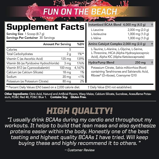 PMD Sports Arsenal X Inferno Superior Fast-Acting Liquid Gel Thermogenic Fat Burner (120 Liquid Gels) Sports BCAA for Recovery and Performance- Fun on The Beach (30 Servings)