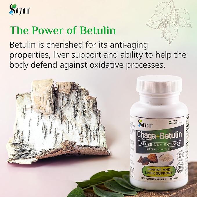 Sayan Siberian Chaga Mushroom Extract with Betulin – 90 Capsules/440mg ea – Wild-Harvested Antioxidant Blend – Immune System Support & Regulate Body Functions – Vegan, Non-GMO, No Fillers or Additives