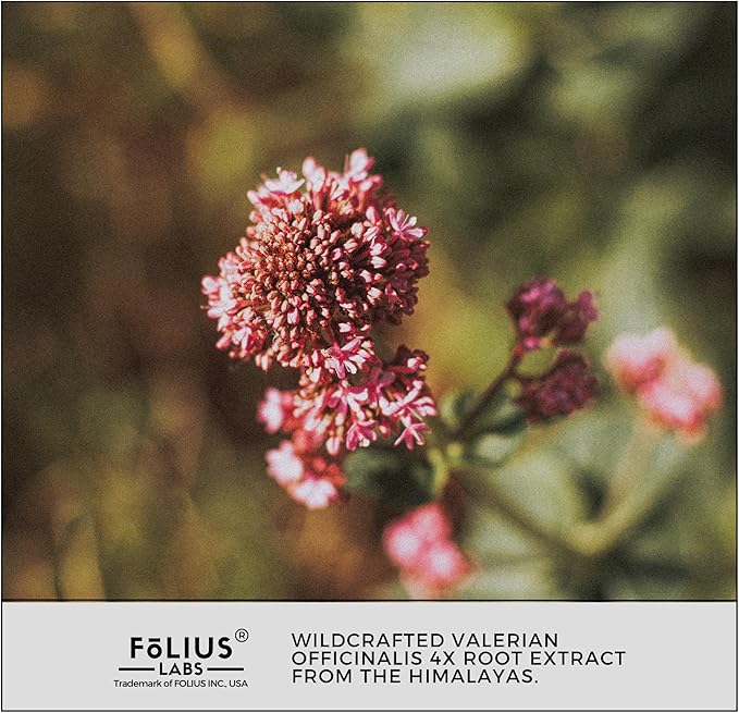 Valerian Root 4:1 Extract Capsules 750mg – Optimized Active Purity – 4X Concentration Valerian Root Extract Supplement - Gluten Free, Non-GMO – Promotes Relaxation - 60 Capsules