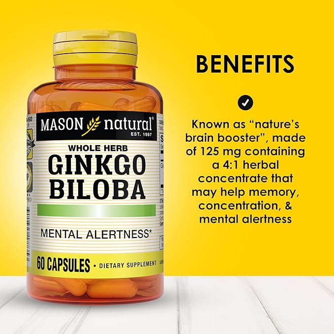 MASON NATURAL Ginkgo Biloba, 3 Month Supply, Helps to Improve Mental Alertness & Support Optimal Brain Function, 60 Capsules (3 Pack)