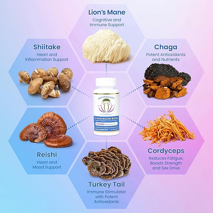 ENCAPSULATE 6 Mushroom Blend – Reishi, Chaga, Turkey Tail, Cordyceps, Lion’s Mane & Shiitake 8:1 Mushroom Extract – Nootropic & Adaptogen Mushroom Supplement for Gut, Brain & Immune Support - 120 Caps