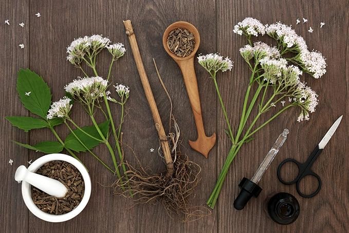 Health Embassy Valerian Root | Valeriana Officinalis L | 100% Natural (50g)