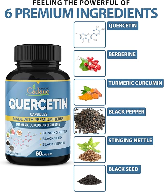 Organic Cadane 2 Packs Quercetin Supplements Capsules, 6in1 with Turmeric, Berberine, Stinging Nettle, Black Seed, Black Pepper - Supports Immune System - 4 Months Supply