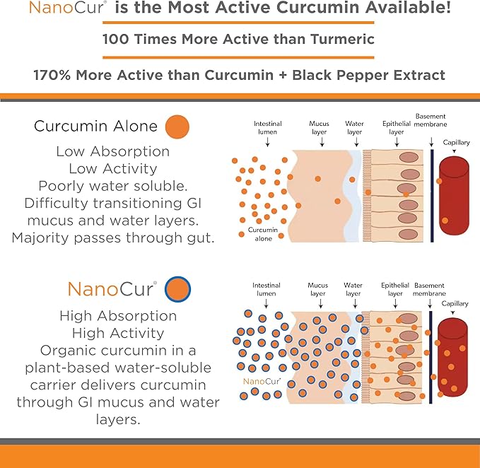 Turmeric Curcumin - 100x More Active Than Turmeric, 170% More Active Than Curcumin + Black Pepper Extract. Joint Support, Relief, and Energy You’ll Feel. Organic Curcumin/Plant-Based Carrier.