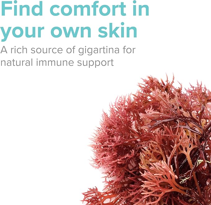 Vibrant Health, Gigartina Red Marine Algae, Plant-Based Immune Support, 60 Capsules