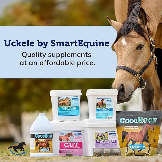 Uckele by SmartEquine Poly Zinc Pellets | Pelleted Zinc Supplement for Horses | Hoof Care Vitamins and Minerals Pellets | Supports Bone and Hoof Wellness | Equine Skin Coat Supplement | 5 lb