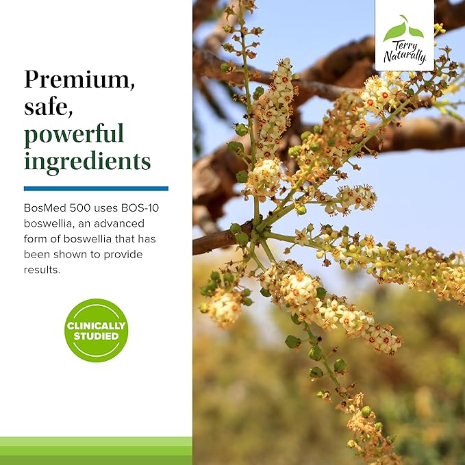 Terry Naturally BosMed 500 - Boswellia Serrata Extract Supplement - Dietary Supplement for Healthy Lung Support - Herbal Supplement Formula - 60 Softgels