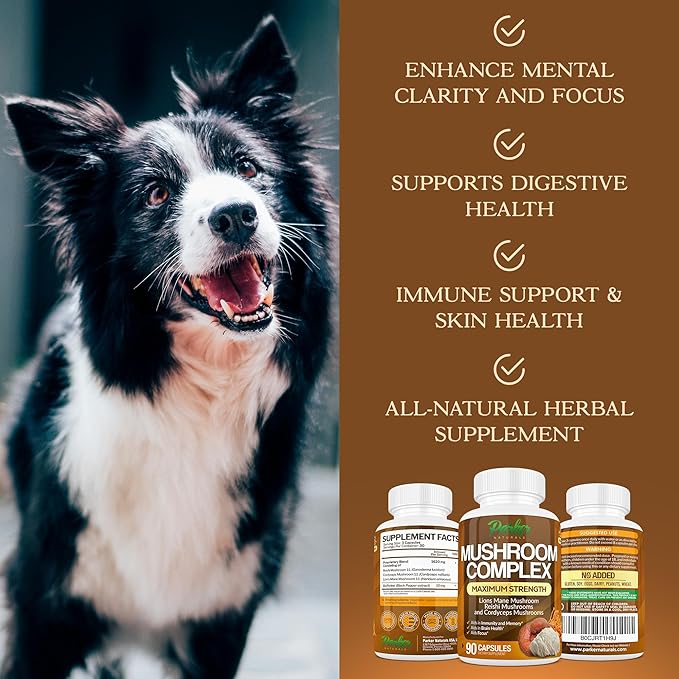 Mushroom Complex Capsules, Premium Lions Mane, Cordyceps, and Reishi Mushroom Supplement, Maximum Strength Organic Mushrooms Supplement, 90 Capsules