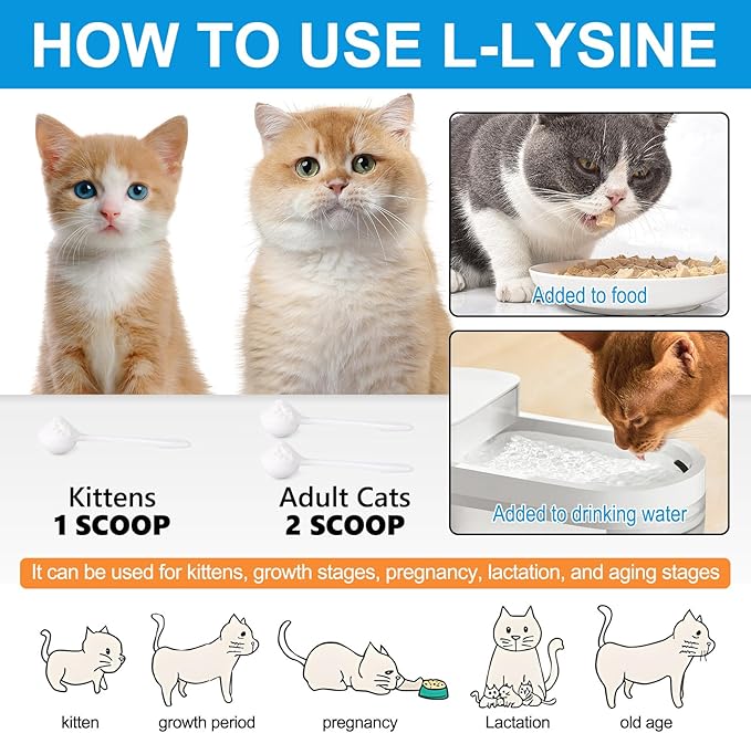L-Lysine Powder for Cats, 120g Lysine Powder Supports Cats Immune System, Respiratory Health & Visual Function – Lysine Powder Improve Cats Eye Discharge, Pets Health Supplies, Salmon Flavor - 4.23oz