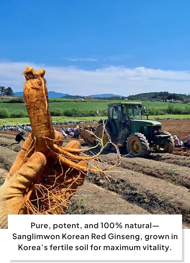 Korean Food Sanglimwon Red Ginseng Gold Stick, 7mg Ginsenosides, 30 Sticks, Korean Panax Ginseng Extract for Vitality and Wellness, 상림원 홍삼, Total 300ml (10.14 fl oz)