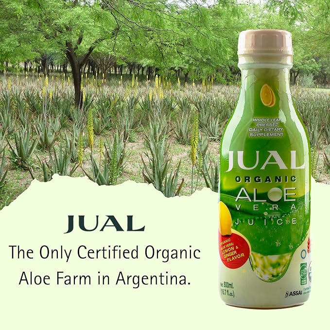 JUAL Healthy Organic Aloe Vera Juice drink, 16.7 Fl Oz - Lemon & Ginger Flavor - Aloe Vera Drink - Vegan, Zero Sugar, Aloin free Pure Aloe Juice for Gut Health - Immune Booster, 500ml (Pack of 1)