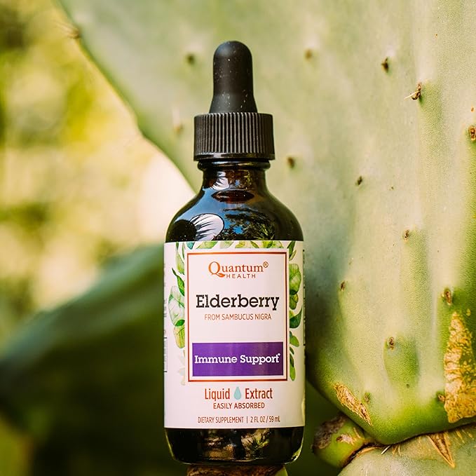 Quantum Health Black Elderberry Liquid Extract Sambucus Nigra Immune Support Formula 700mg - Daily Wellness Boost of Potent Antioxidants for Women & Men - High Dose, Fast Absorption, Vegan - 2 Fl Oz