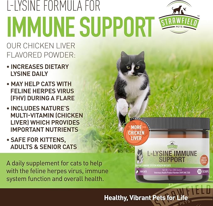 Strawfield Pets L-Lysine Immune Support for Cats & Kittens - 200g Chicken Liver Flavor Granules with Scoop, Immune Health Supplement Cat Cold Relief, Sneezing, Congestion, Running Nose, Watery Eyes