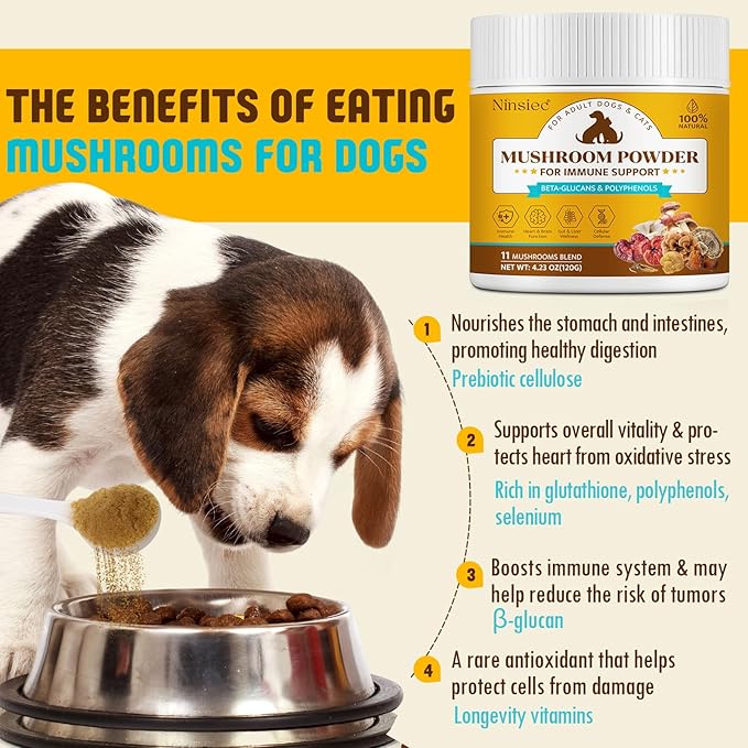 Organic Mushroom Supplement Powder for Dogs & Cats – 11 Mushroom Complex with Turkey Tail, Reishi & Cordyceps, Supports Lipoma, Lumps & Bumps Relief, Immune & Skin Health, 120g