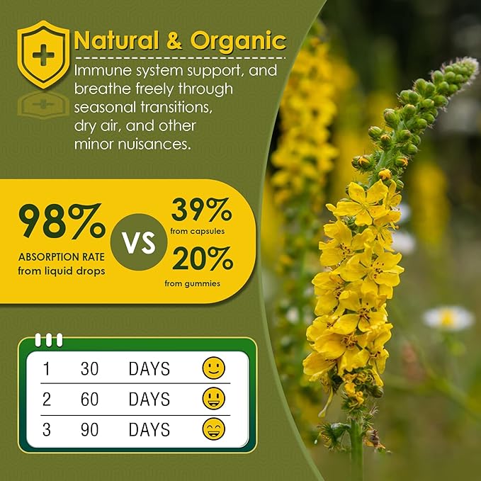 Mullein Drops for Lungs, Mullein Leaf Extract Herbal Supplement, Natural Lung Cleanse, Respiratory & Immune Support, Breathe Health, Tincture with Marshmallow, Elderberry - 2 fl Ounces