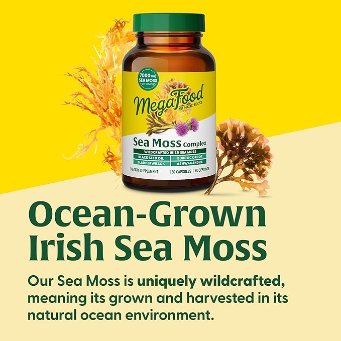 MegaFood Sea Moss Complex - Irish Sea Moss 7000mg Per Serving Plus Black Seed Oil, Burdock Root, Bladderwrack & Ashwagandha - Vegan Gut Health & Immune Support Supplement, 120 Capsules, 60 Servings