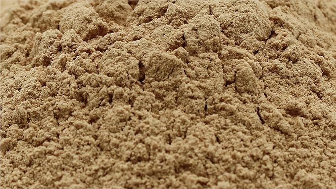 Naturejam Organic Lions Mane Mushroom Powder 1 Pound Bulk-Premium Culinary Grade for Smoothies, Latte and Baking-A Great Coffee Substitute 150-200 Servings