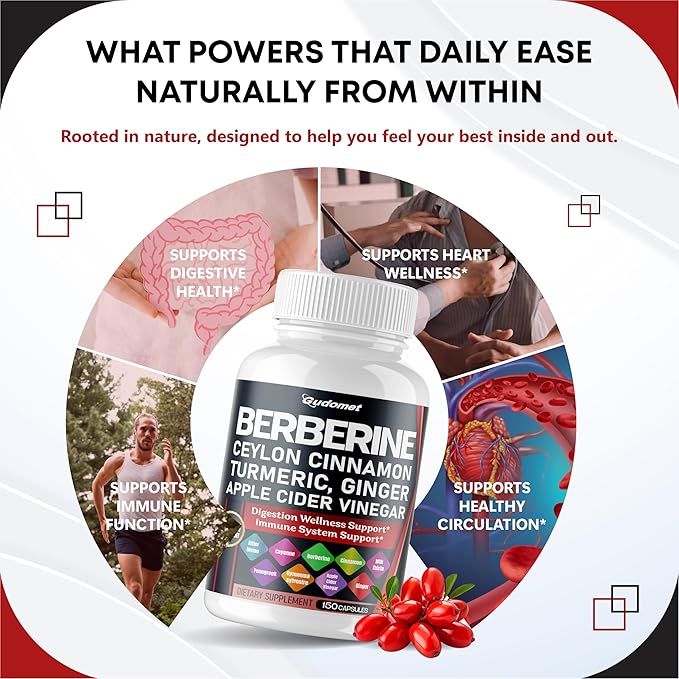 Berberine Ceylon Cinnamon - All-in-1 Supplement with Bitter Melon AVG Gymnema sylvestre Turmeric Milk Thistle Licorice Holy Basil Fenugreek Banaba