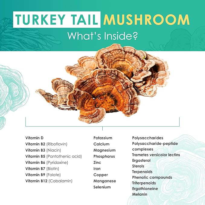 Turkey Tail Powder - Organic Mushroom Supplement with Powerful Turkey Tail Mushroom Extract for Microbiome & Cellular Support 60g