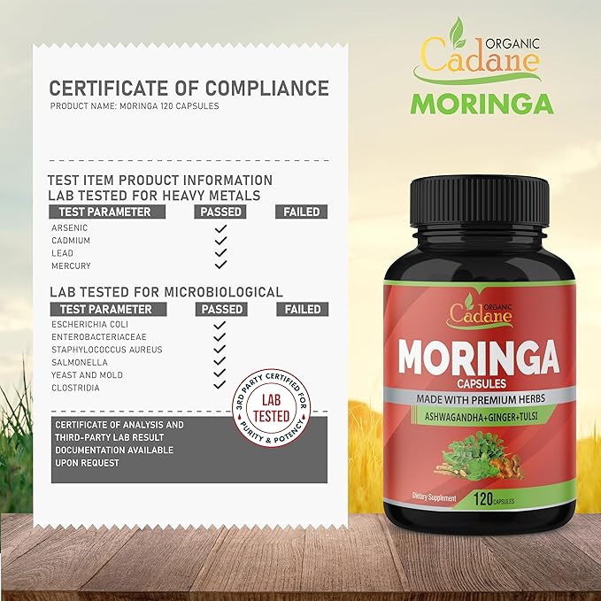 Organic Cadane Moringa Powder Capsules, 4in1 with Ashwagandha, Ginger, Holy Basil Tulsi - Immune Support - Oleifera Leaf Powder Herb Supplements, 120 Capsules