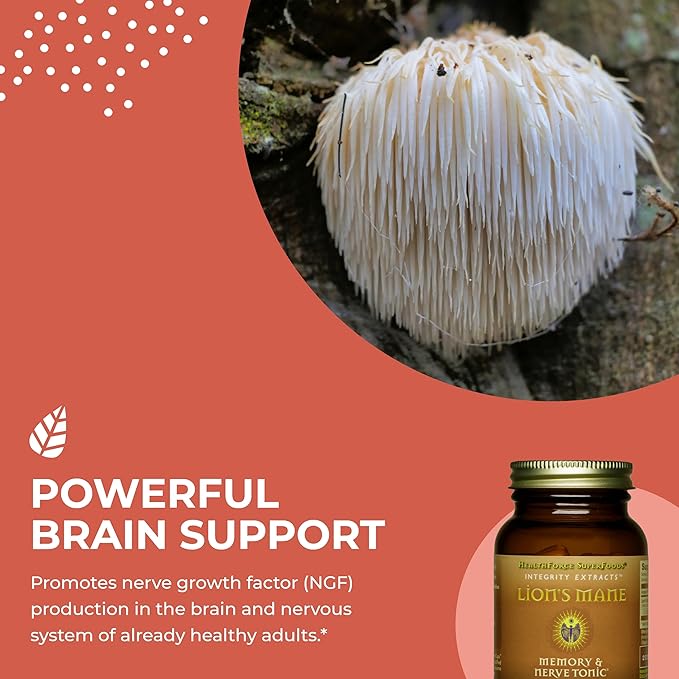 HealthForce SuperFoods Integrity Extracts Lion's Mane – Capsules - 90 Vegan Capsules