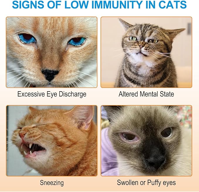 L-Lysine Powder for Cats, 2PC Lysine Powder Supplement Support Cats Immune Respiratory Health – Lysine Powder for Cats Eye Care, Pets Health Supplemnt for Cats of All Age - Salmon Flavor / 120g x 2