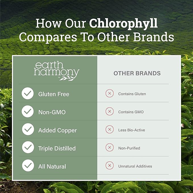Liquid Chlorophyll, Liquid Drops for Immune System Support, Natural Internal Deodorant - Vegan Chlorophyll Drops with Organic Glycerin - Clorofila Liquida, Chlorophyllin Detox Cleanse (1 mL)