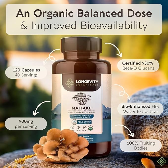 Longevity Botanicals Organic Maitake Mushroom Extract Capsules (120) | Concentrated 10:1 Ratio | 100% Fruiting Bodies | Grifola frondosa Natural Supplement for Gut Health & Immunity Support